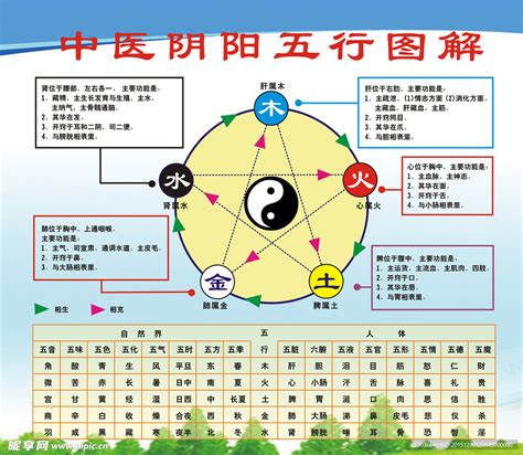 五行是哪五行|五行（中医术语）